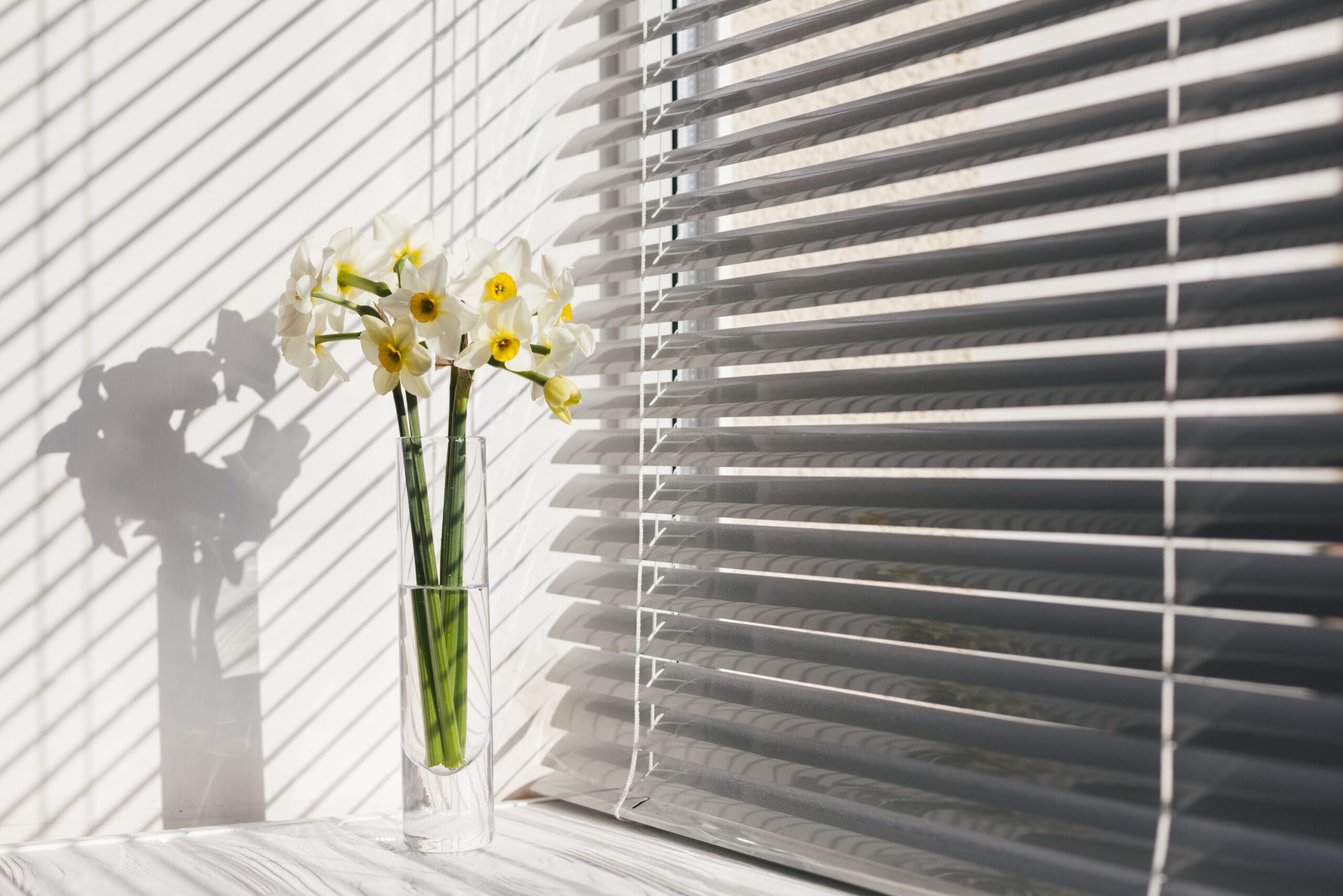 Window Blinds vs. Plantation Shutters Window Blinds vs. Plantation Shutters